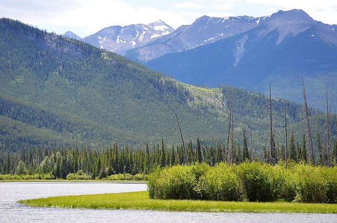 L'Ouest canadien à pleins poumons: épisode 1, les Rocheuses et la chaîne Alberta - fabienne65