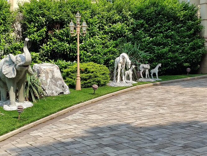 IMG_20250611_094406181_HDR