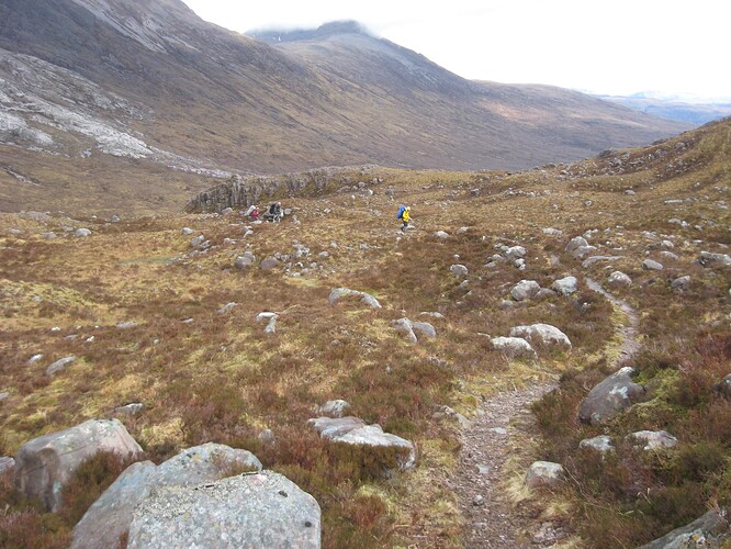 Ecosse (241)