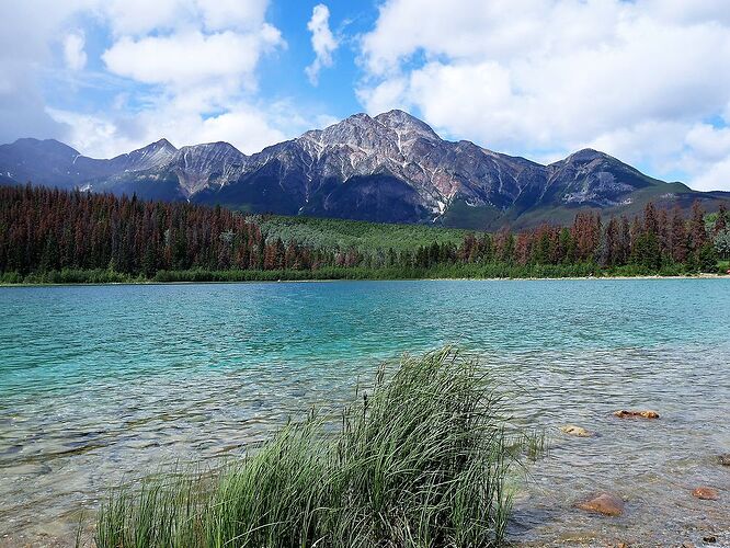 L'Ouest canadien à pleins poumons: épisode 1, les Rocheuses et la chaîne Alberta - fabienne65