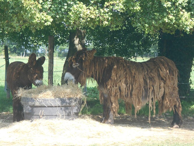 DSCN12011