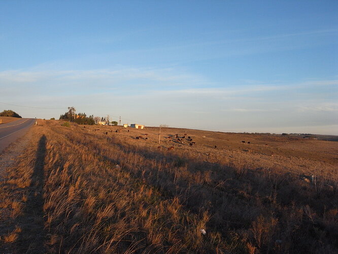 R1049855