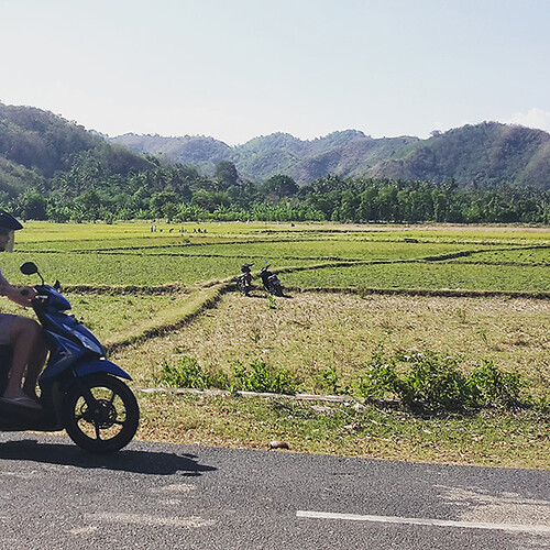 Roadtrip de 3 semaines - Bali, Lombok et Gili - RoxaNDCo