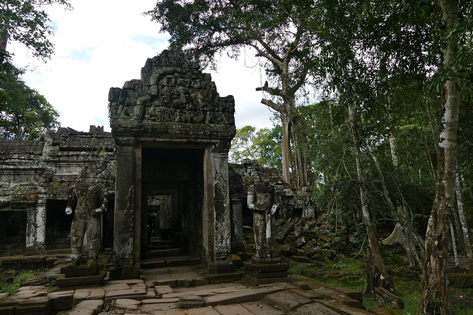 P1330039