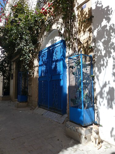 Médina de Tunis