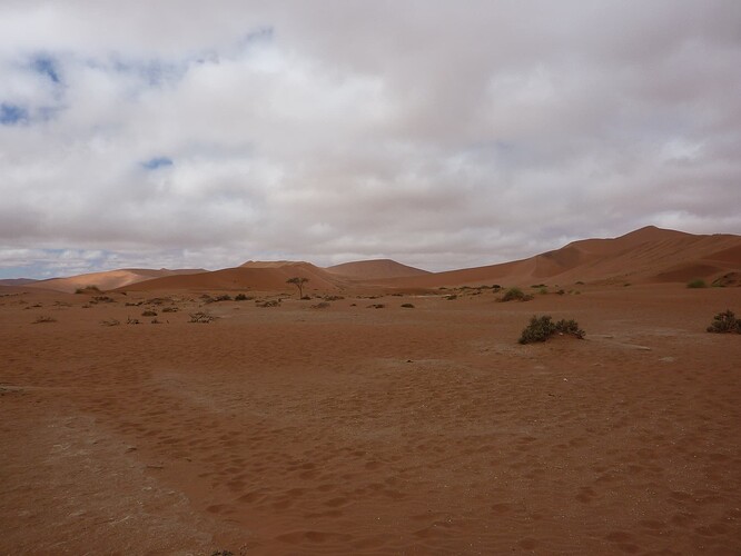 P1140435