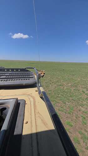 Guepard_4x4