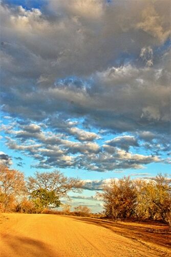 safari dans le Kgalagadi transfrontier park et le kruger national park - marsouin59