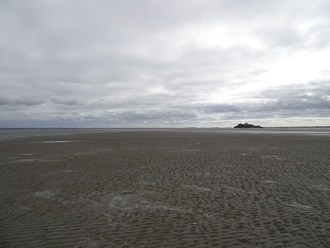 DSC04541_1