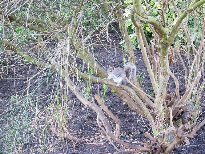 Ecosse 2013 059