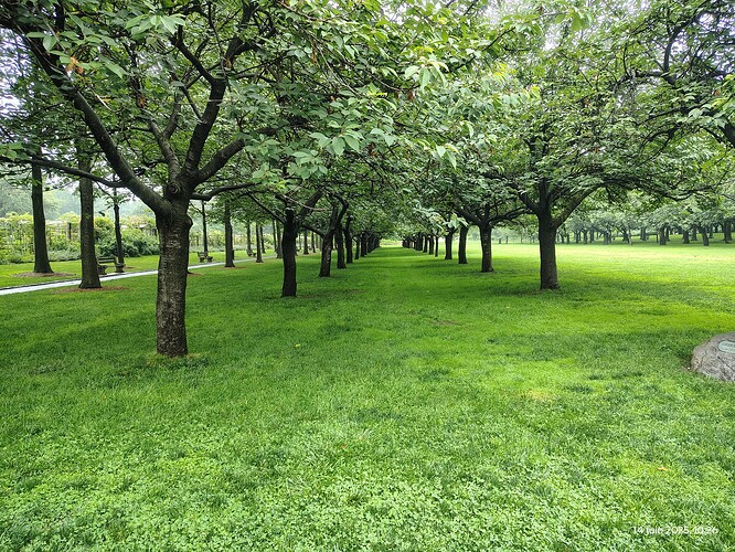 IMG_20250614_102633477_HDR