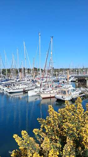IMG-20250728-WA0026