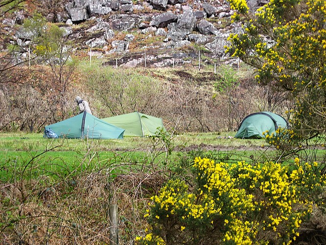 Ecosse (251)