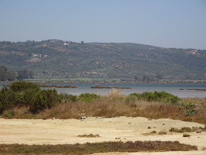 DSC03683_1