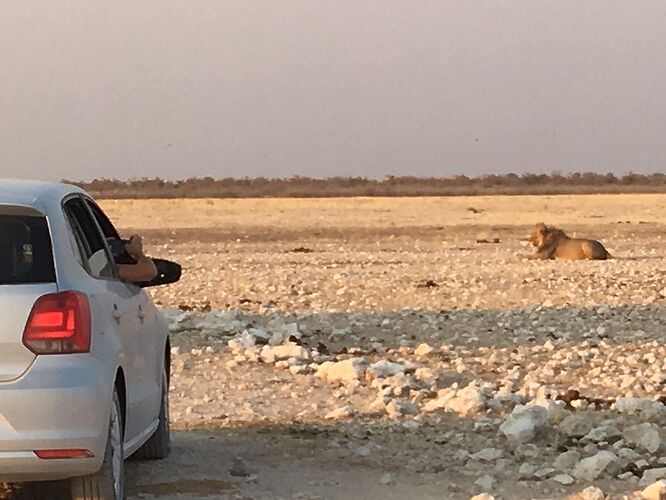 5000 km en Namibie (en passant par le Botswana et le Zimbabwe) - Berangere-D