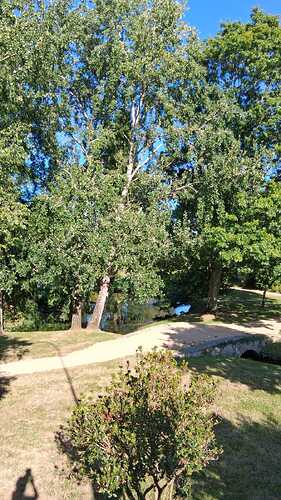 IMG-20250727-WA0026