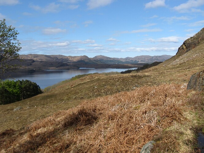 Ecosse (324)