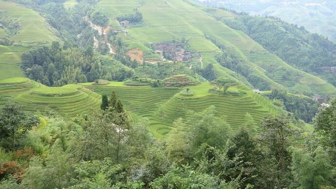 Voyage en Chine : Yangshuo – Dazhai – Fenghuang – Dehang – Zhangjiajie – Beijing – Huashan – Chengdu – Shunan zhuhai – Leshan – Emeishan (Première partie) - Meli Voyage en Chine : Yangshuo – Dazhai – Fenghuang – Dehang – Zhangjiajie – Beijing – Huashan – Chengdu – Shunan zhuhai – Leshan – Emeishan (Première partie) - Meli