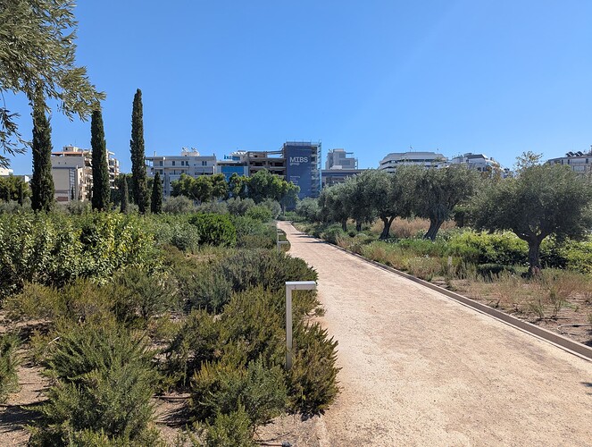 PXL_20250729_072022410_1