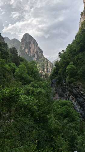 IMG-20250614-WA0005