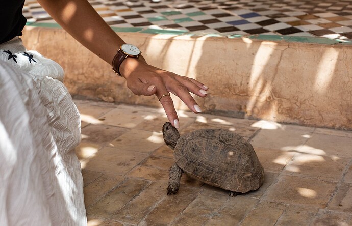 2018_maroc-16
