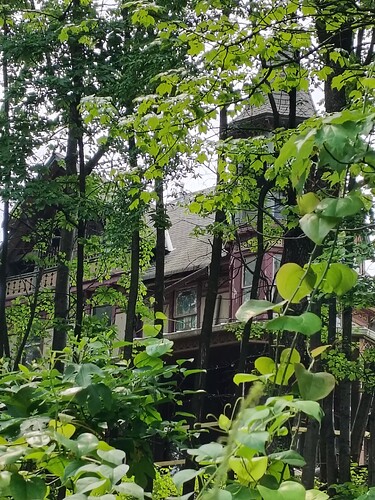 IMG_20250613_111625115_HDR