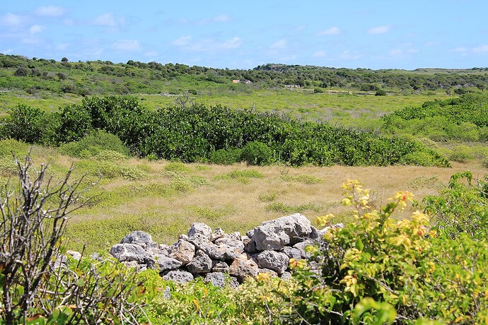 22 Tintamarre Muret et ancienne piste ?