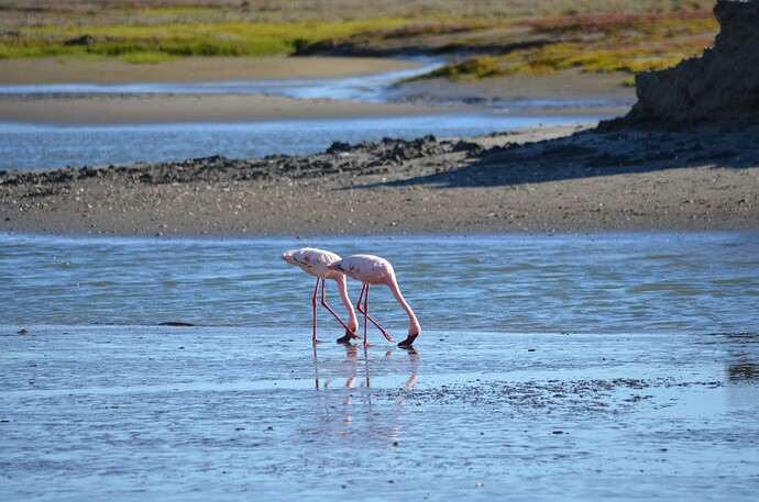 namibie (155)