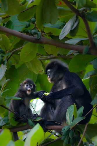 IMG_6100_DxO-2