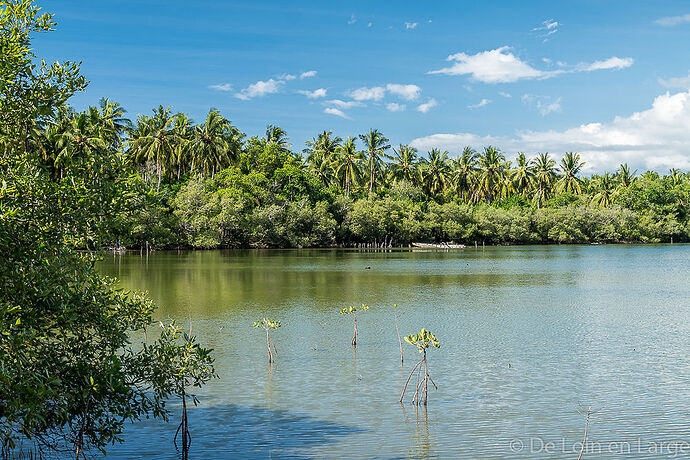 Bali - 3 semaines - Ubud - Pemuteran - Munduk - Amed - Gili Meno - Jimbaran - tfab