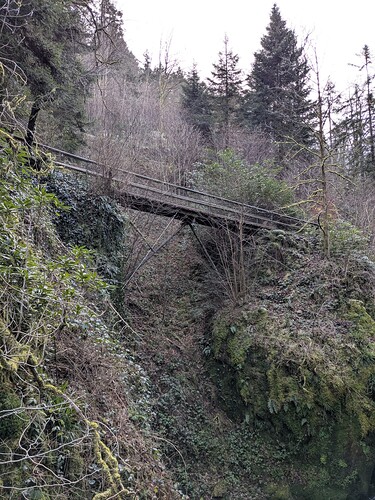 PXL_20250101_100338227_1
