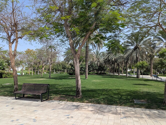 PXL_20250418_105210634_1