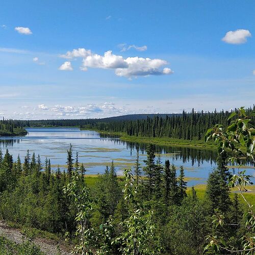 4 semaines en Alaska été 2018 - paly1