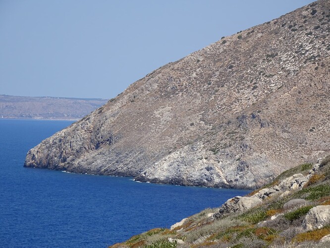 DSC03535_1