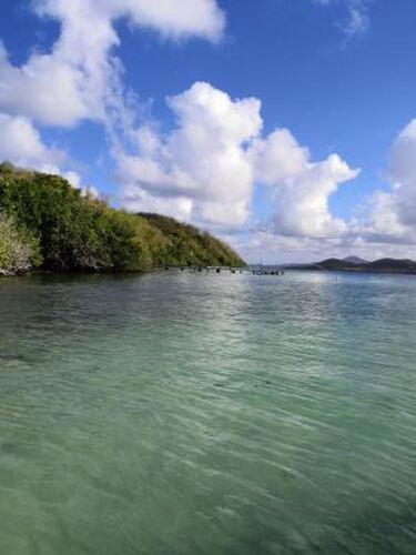 REtour de 10 jours en Martinique du 24 février au 4 mars 2020 - Gini78