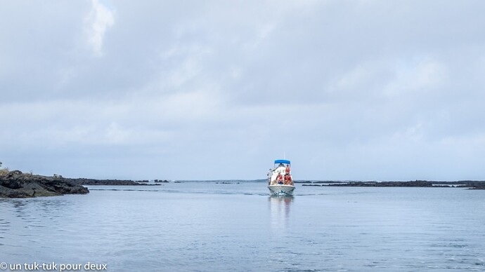 12 jours aux Îles Galápagos en autonomie, c'est vraiment merveilleux! - un-tuk-tuk-pour-deux