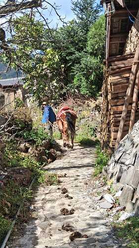 IMG-20251205-WA0004