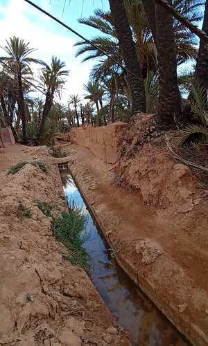 IMG-20250420-WA0011
