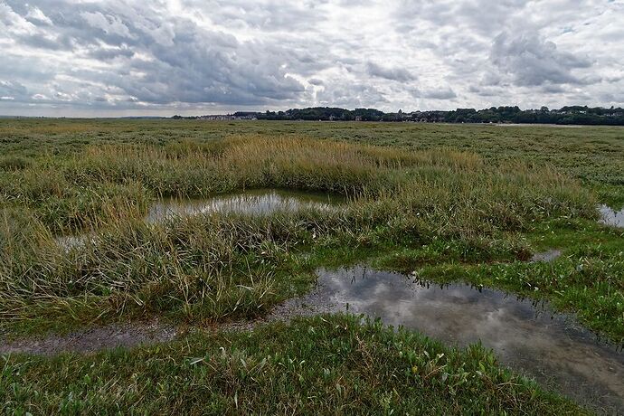 5 jours en Baie de Somme : un séjour très varié autour de Saint-Valéry - La-Corse-a-petits-pas