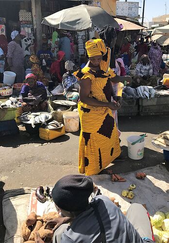 Visages et instantanés du Sénégal, Saint Louis et ses environs ... - fabienne65