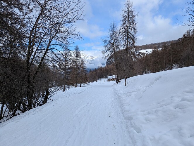 PXL_20250213_135508153_1