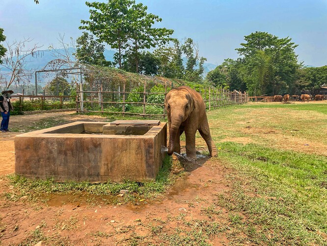 Elephant Nature Park