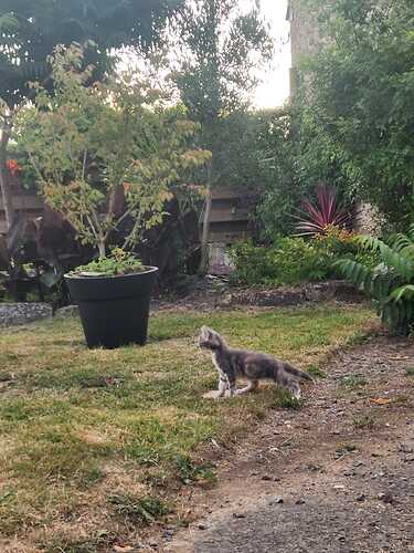 IMG-20250714-WA0005