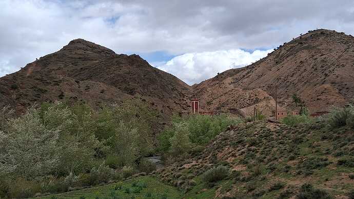 IMG-20260329-WA0012