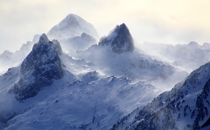 Brume et contre jour