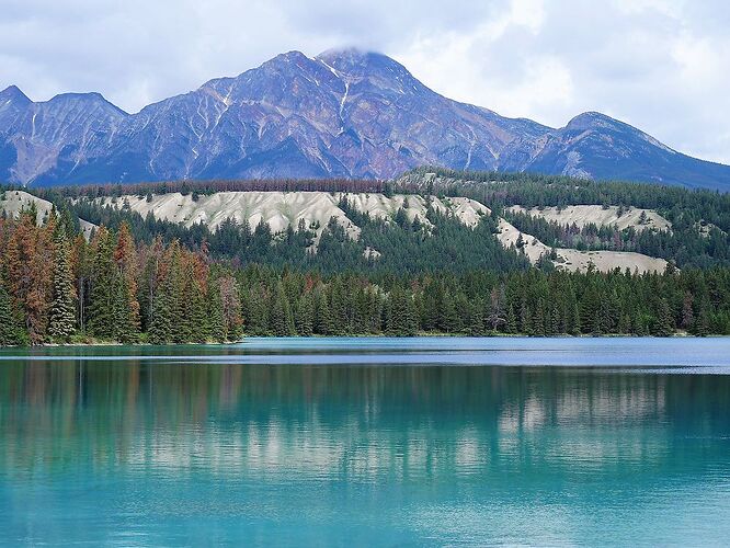 L'Ouest canadien à pleins poumons: épisode 1, les Rocheuses et la chaîne Alberta - fabienne65