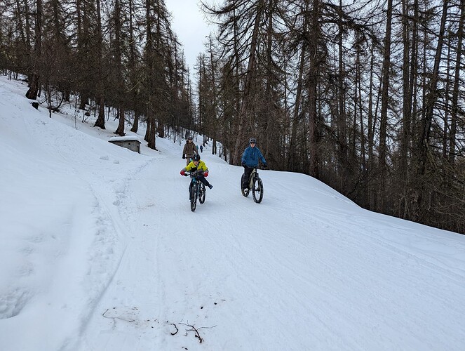 PXL_20250213_134330225_1