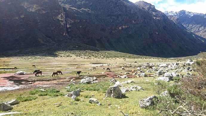 Trek de Santa Cruz avec Quechuandes : une expérience  incroyable !  - Joh et Max