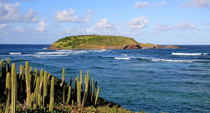 île Tortue