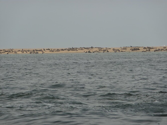 P1150048